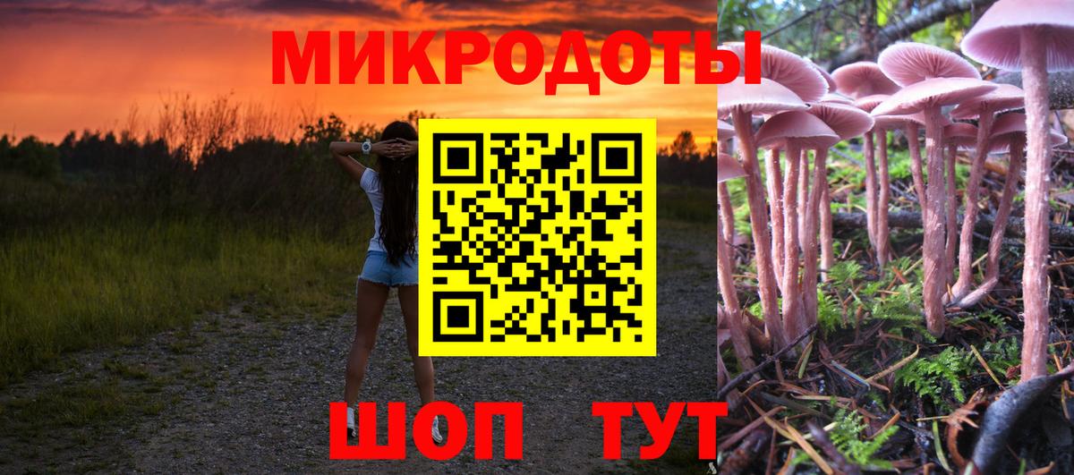 Псилоцибиновые грибы GOLDEN TEACHER Светлоград