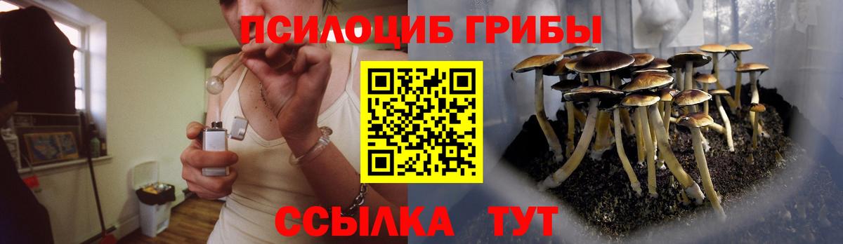 Светлоград  Псилоцибиновые грибы MAGIC MUSHROOMS  Галлюциногенные грибы мицелий  Вход с VPN 